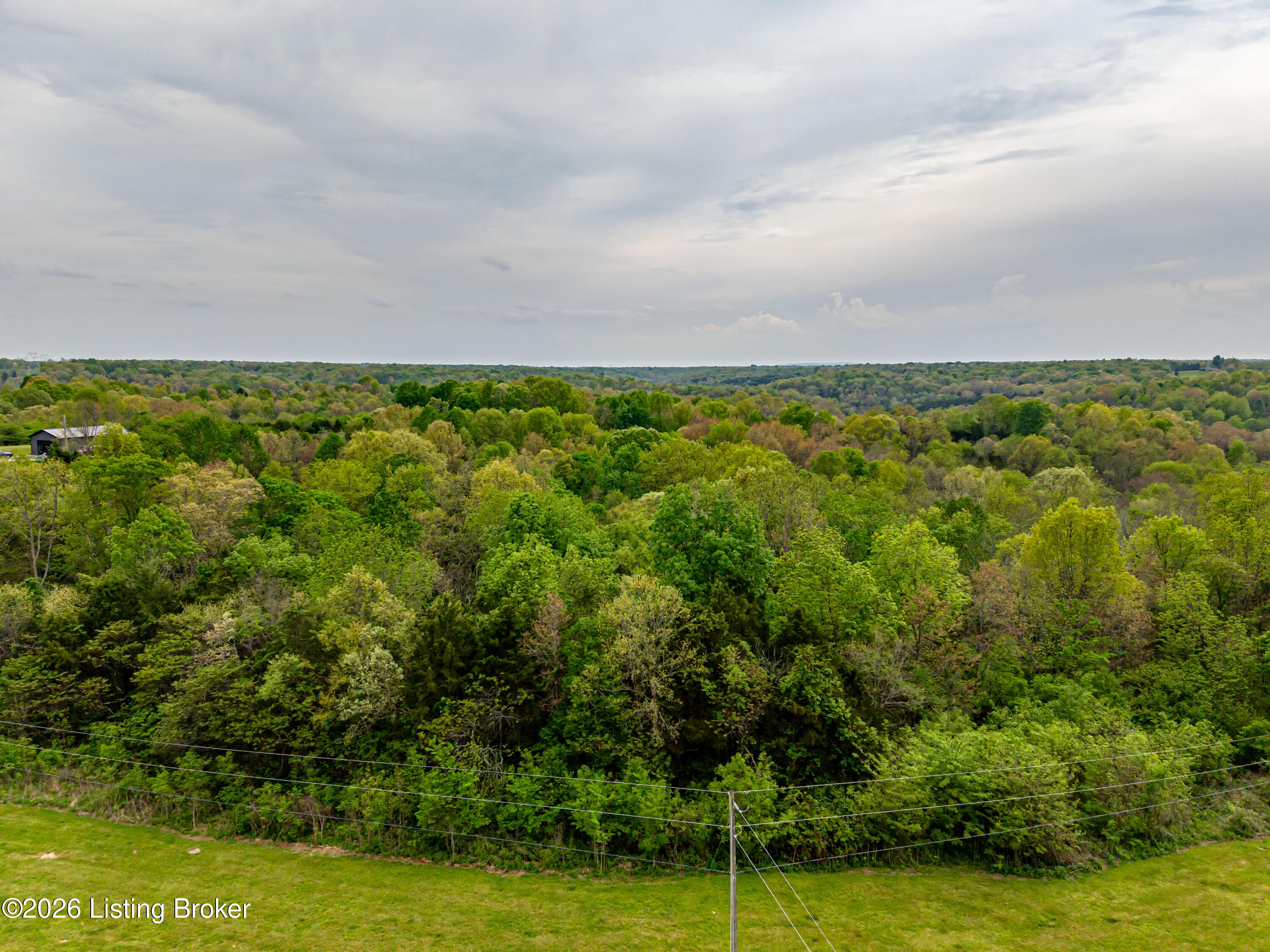 16 Scrabble Road Bagdad, KY 40003 - Photo 3 of 18 DJI_20260425052435_0822_D