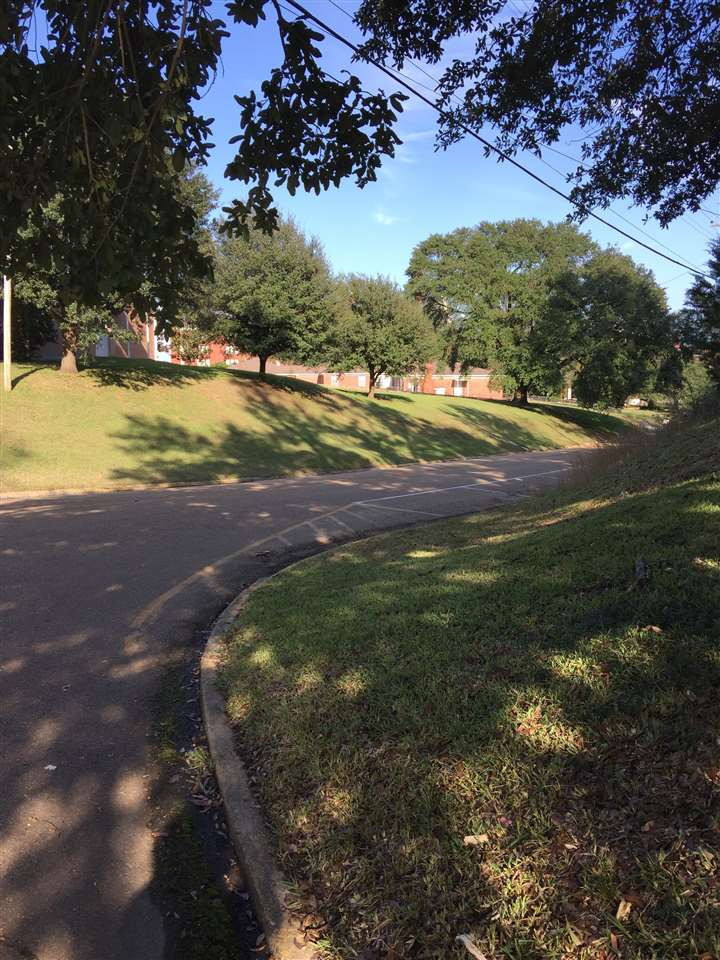 501 Palestine Street Raymond, MS 39154 - Photo 33 of 35 Photo 33