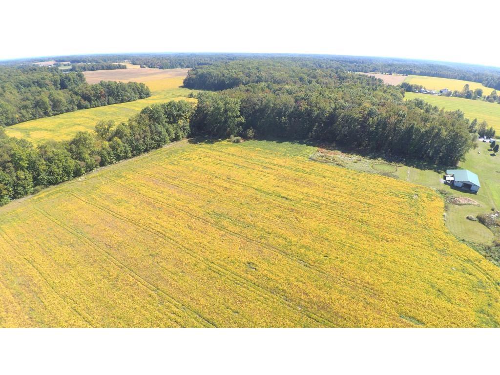 Lot 1 West County Line Road Sunman, IN 47041 - Photo 3 of 19