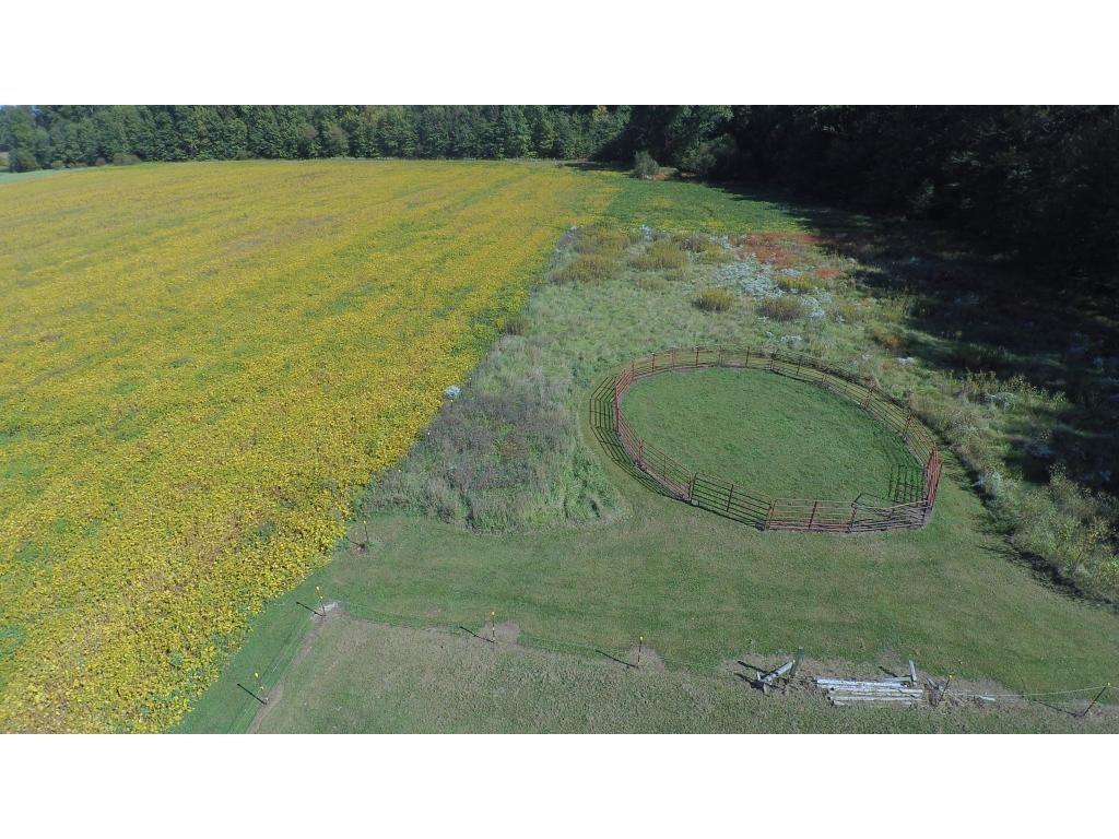 Lot 1 West County Line Road Sunman, IN 47041 - Photo 8 of 19