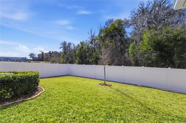 a view of a backyard