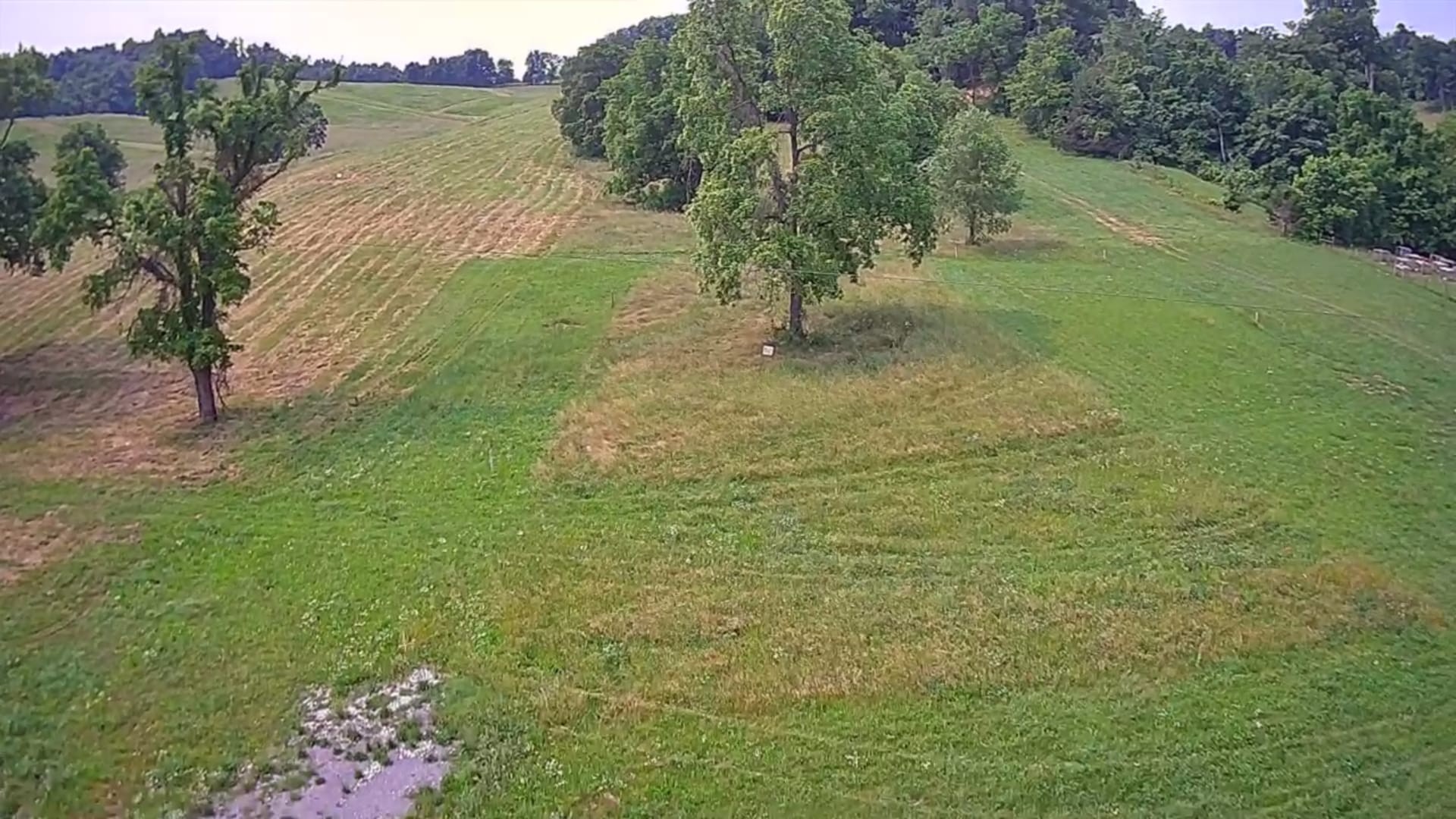 a view of a lake with a yard