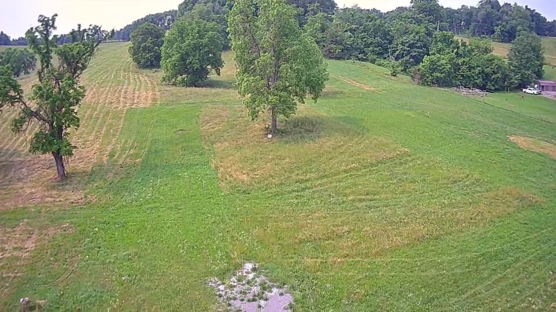 0 John Brinkley Road Tullahoma, TN 37388 - Photo 2 of 3 a view of a garden