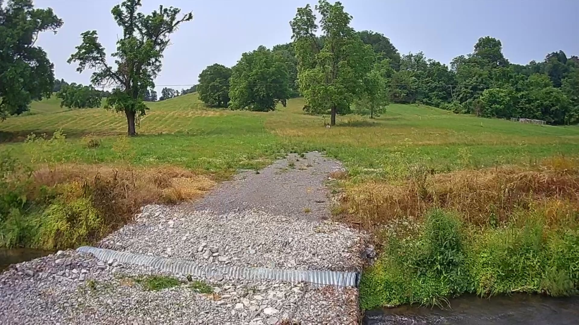0 John Brinkley Road Tullahoma, TN 37388 - Photo 3 of 3 a view of a field with trees