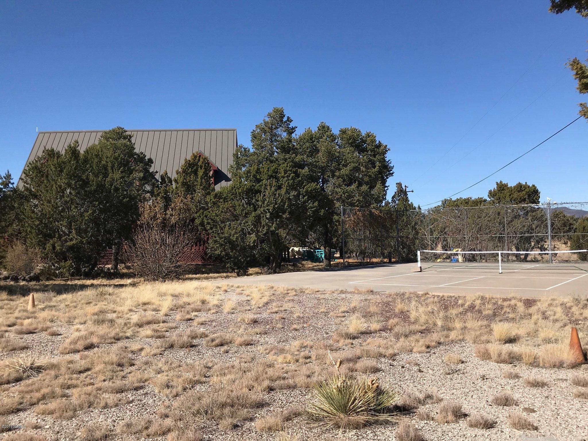 5950 Leupp Road Flagstaff, AZ 86004 - Photo 9 of 67 Pickleball Court