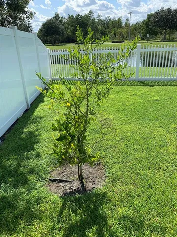 a view of a deck and a yard