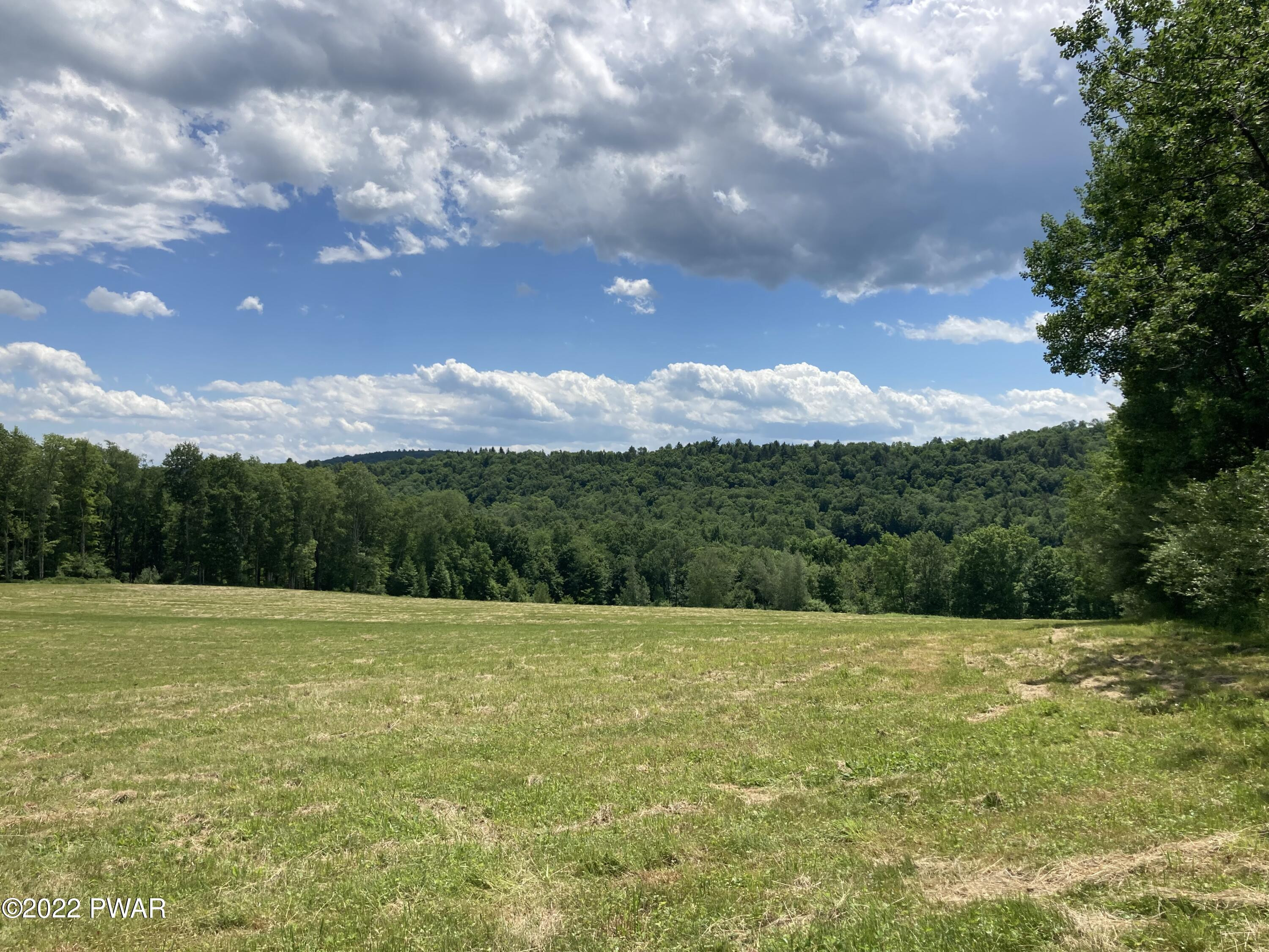 841 B Callicoon Road Damascus, PA 18415 - Photo 6 of 38 Views!