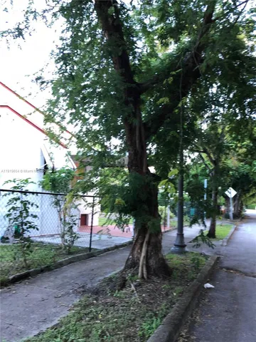 a view of a yard with plants and a large tree