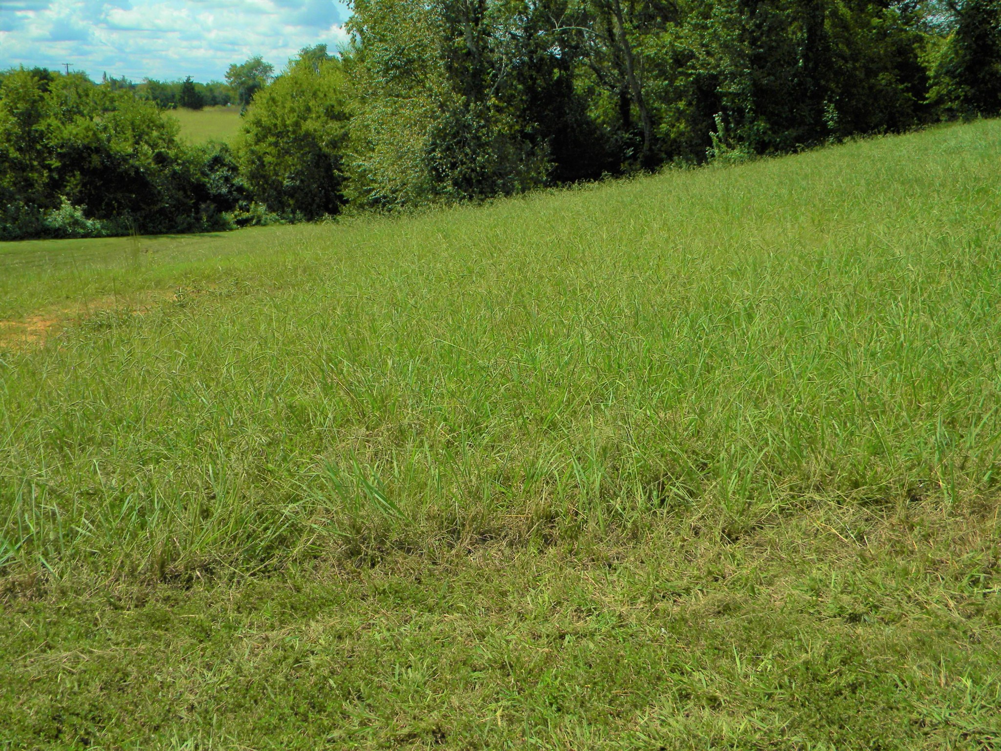 0 Rippling Waters Circle, Unit 46 Sevierville, TN 37876 - Photo 13 of 17 Gallery Image 13