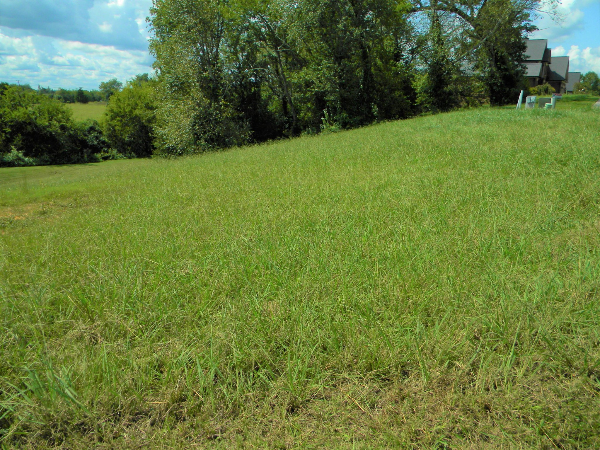 0 Rippling Waters Circle, Unit 46 Sevierville, TN 37876 - Photo 9 of 17 Gallery Image 9