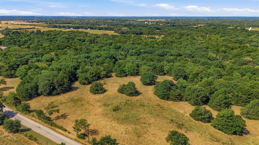 97.94 Bill Holder Road Sadler, TX 76264 - Photo 11 of 34 Gallery Image 11