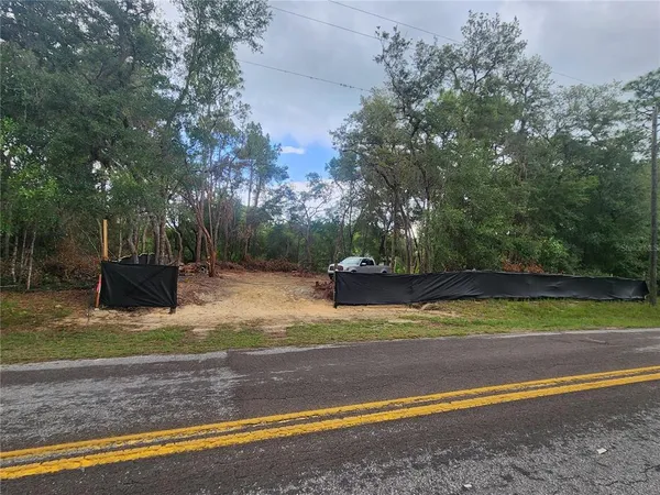 a view of a yard with large trees