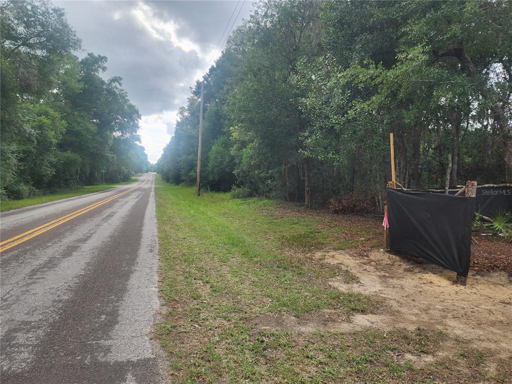 3919 East Orchid Street Hernando, FL 34442 - Photo 3 of 10 a view of a backyard
