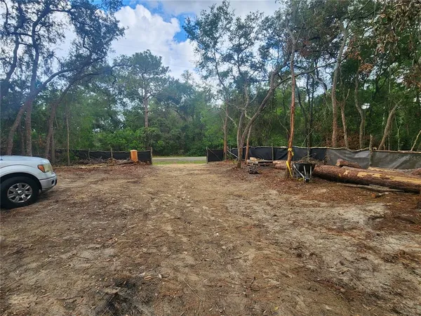 a view of a forest with trees