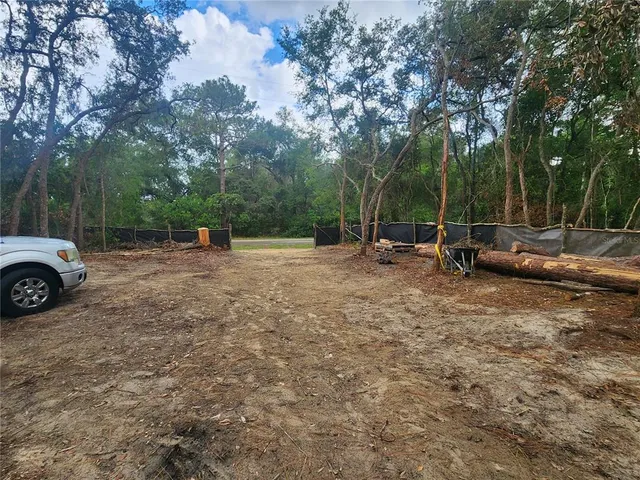 a view of a forest with trees