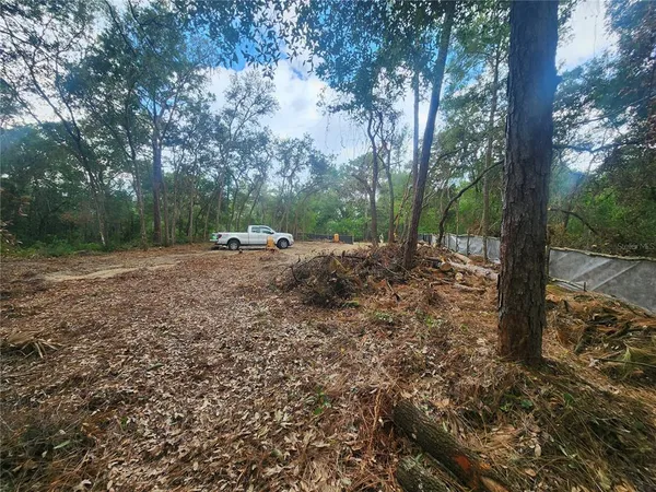 a view of backyard with green space