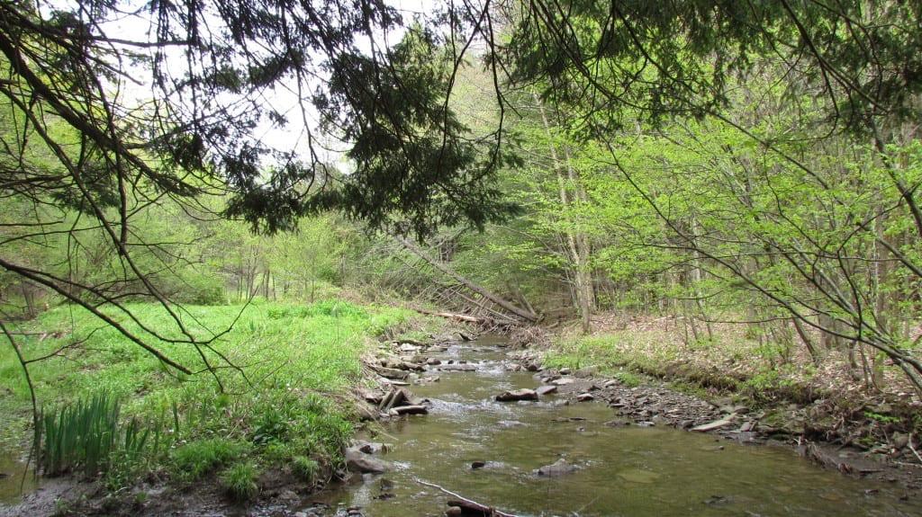 0 Wildman Road Cincinnatus, NY 13040 - Photo 1 of 1 Gallery Image 1