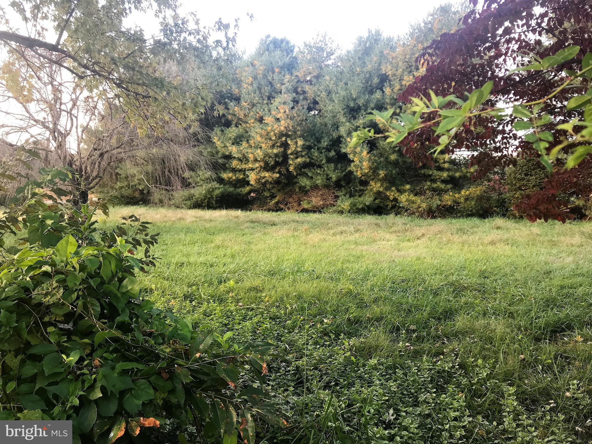 3351 Horn Road Huntingtown, MD 20639 - Photo 15 of 20 Back yard surrounded by trees
