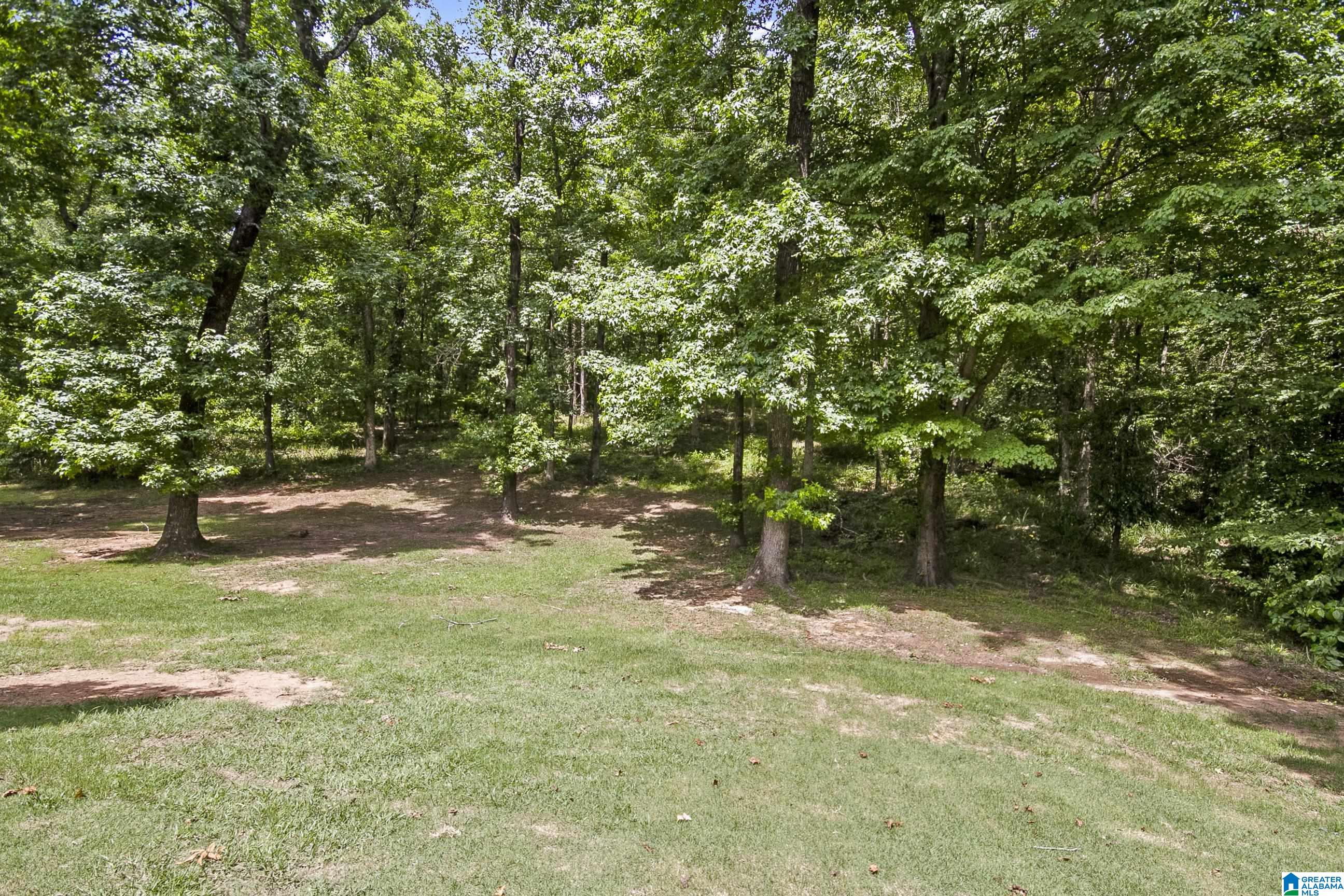 3531 Windy Ridge Tuscaloosa, AL 35406 - Photo 58 of 60
