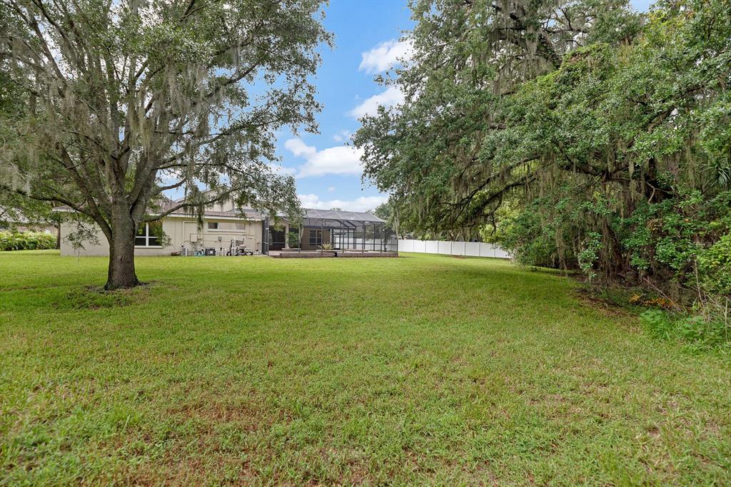 5711 Tanagerside Road Lithia, FL 33547 - Photo 59 of 72