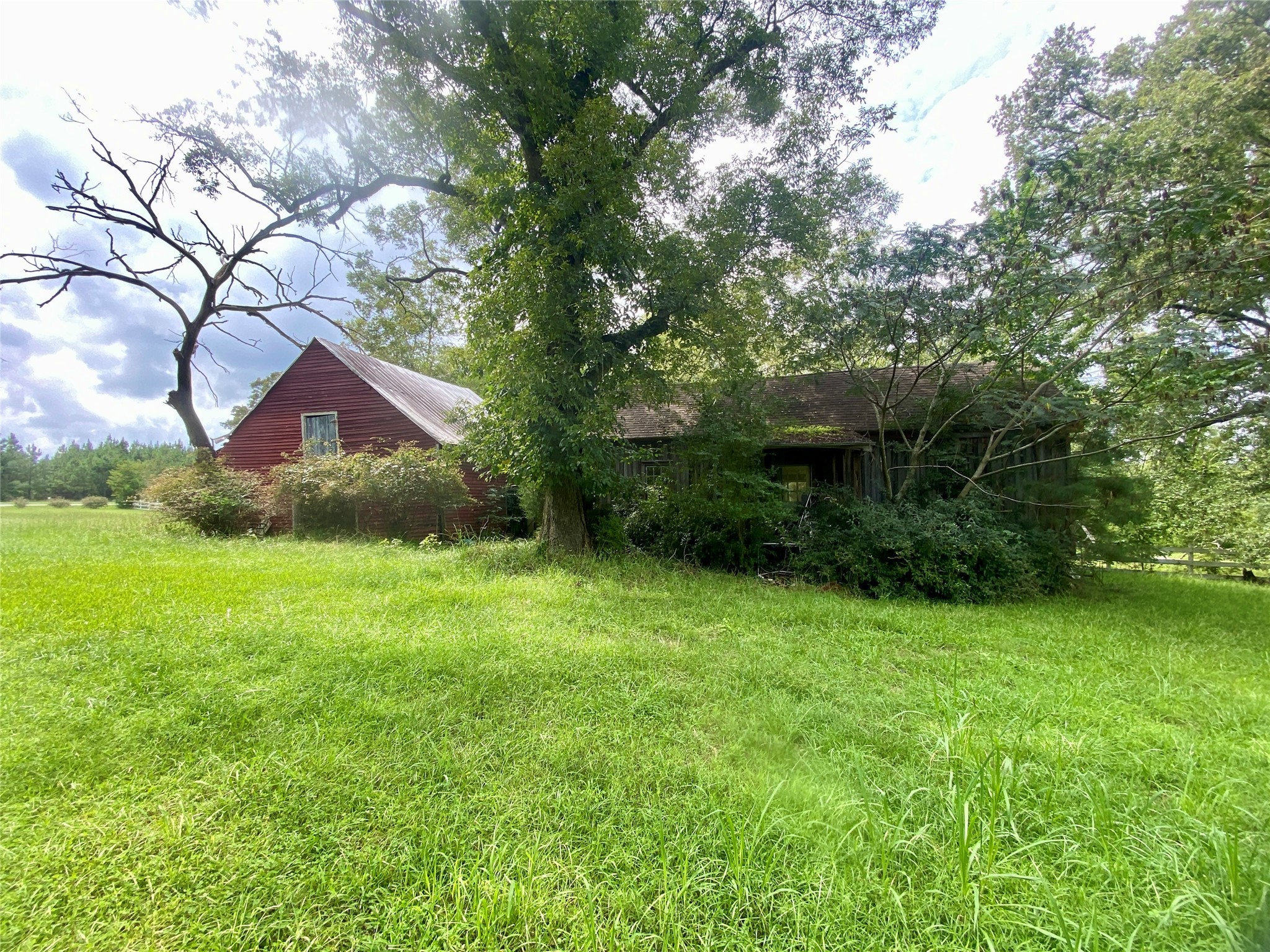 2221 Sandtown Road Washington, GA 30673 - Photo 35 of 50 a view of backyard with green space