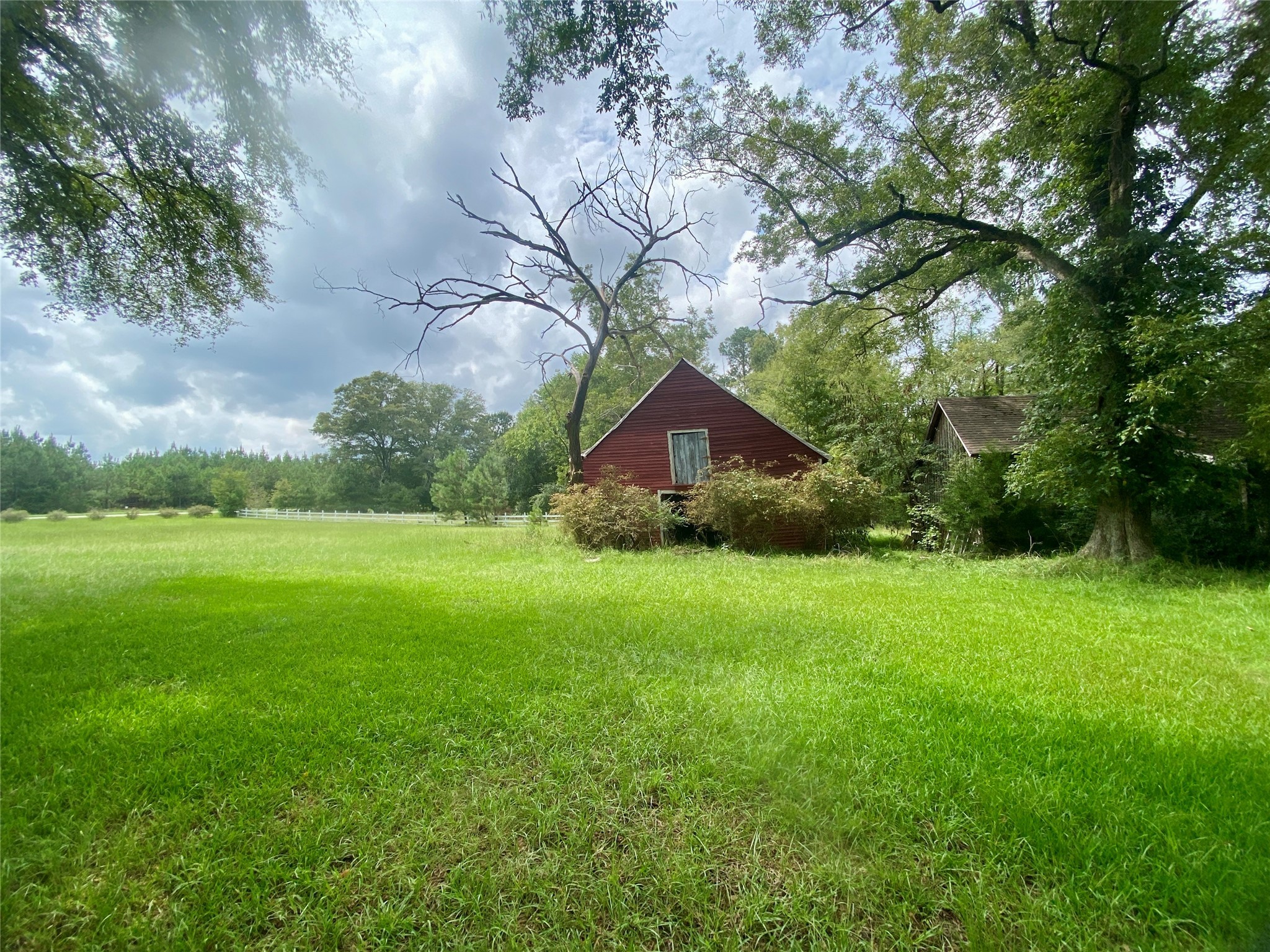2221 Sandtown Road Washington, GA 30673 - Photo 38 of 50 a backyard of a house with lots of green space