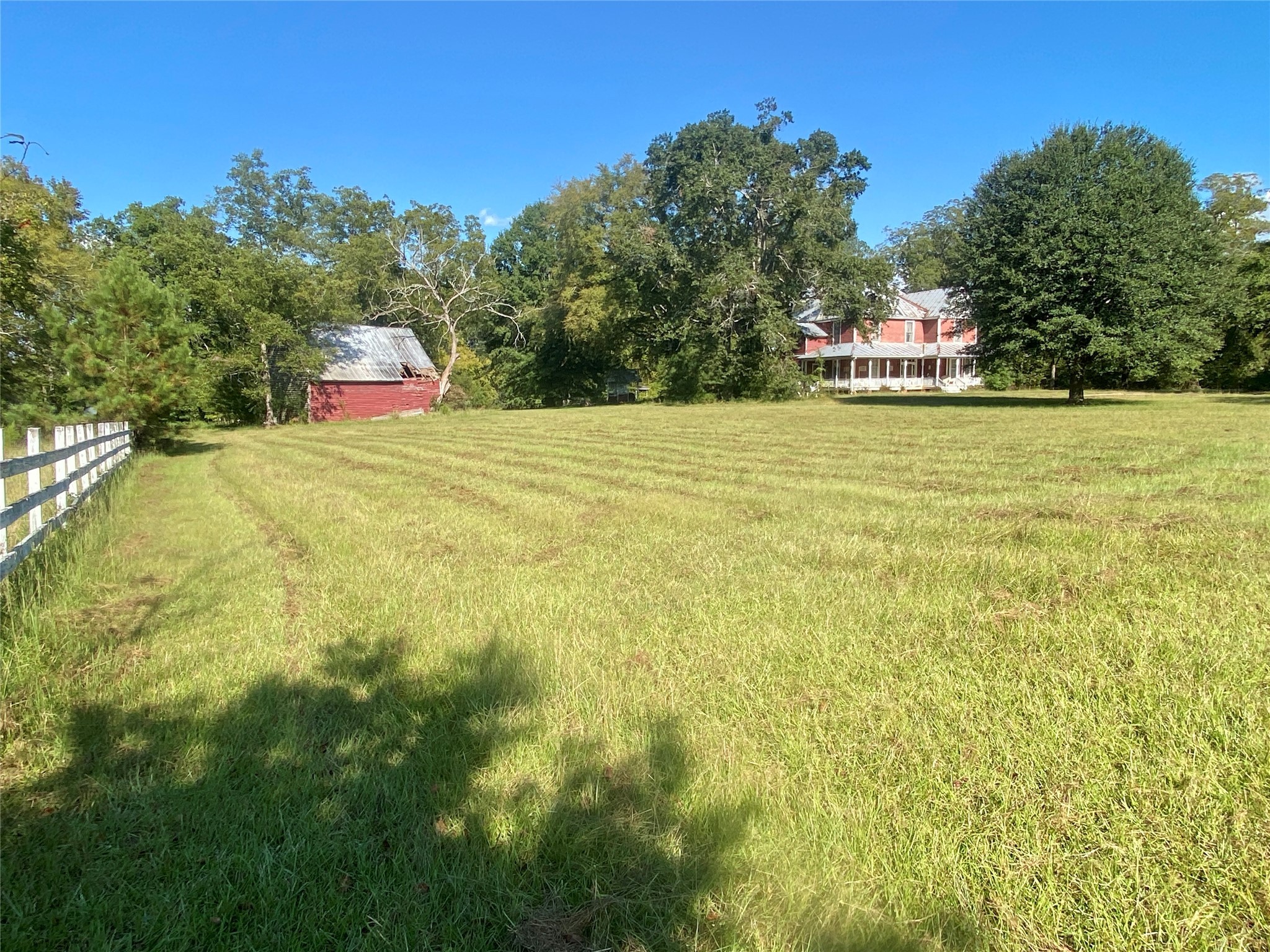 2221 Sandtown Road Washington, GA 30673 - Photo 45 of 50 a view of a yard with a trees