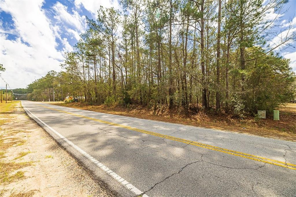 1.85-acres Williamson Rd N Road East Townsend, GA 31331 - Photo 6 of 13