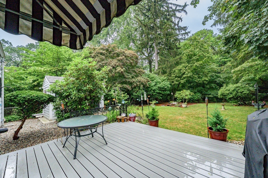 59 Ingersoll Grove Springfield, MA 01109 - Photo 28 of 42