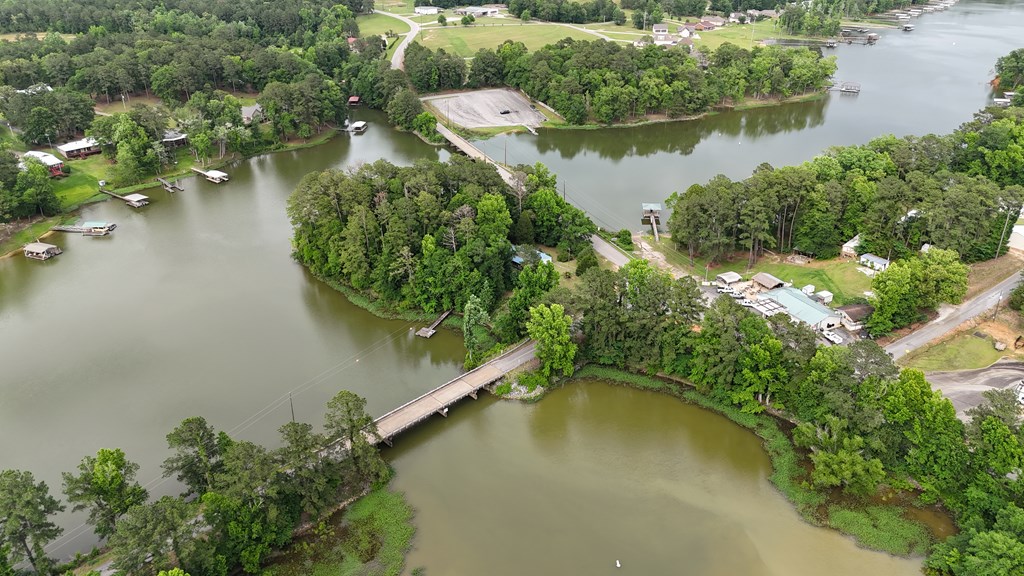 0 Hudspeth Drive Abbeville, AL 36310 - Photo 11 of 15
