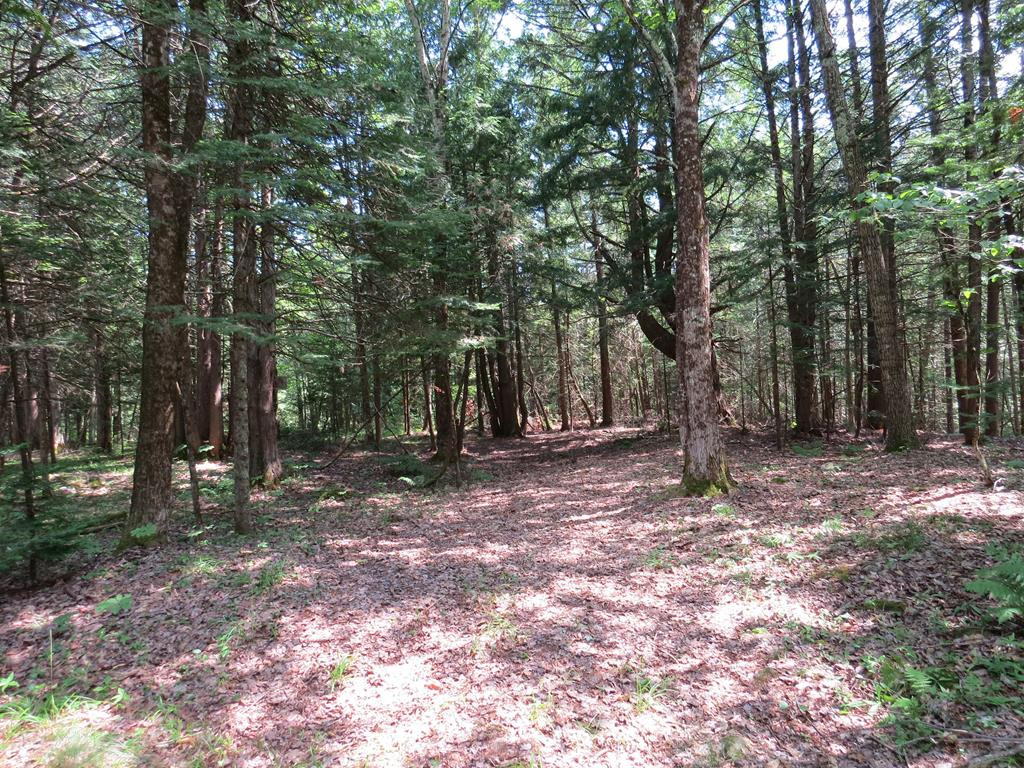 2489 State Rte 3 Cadyville, NY 12918 - Photo 3 of 18 Gallery Image 3