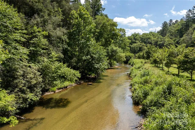 a view of a yard with a tree