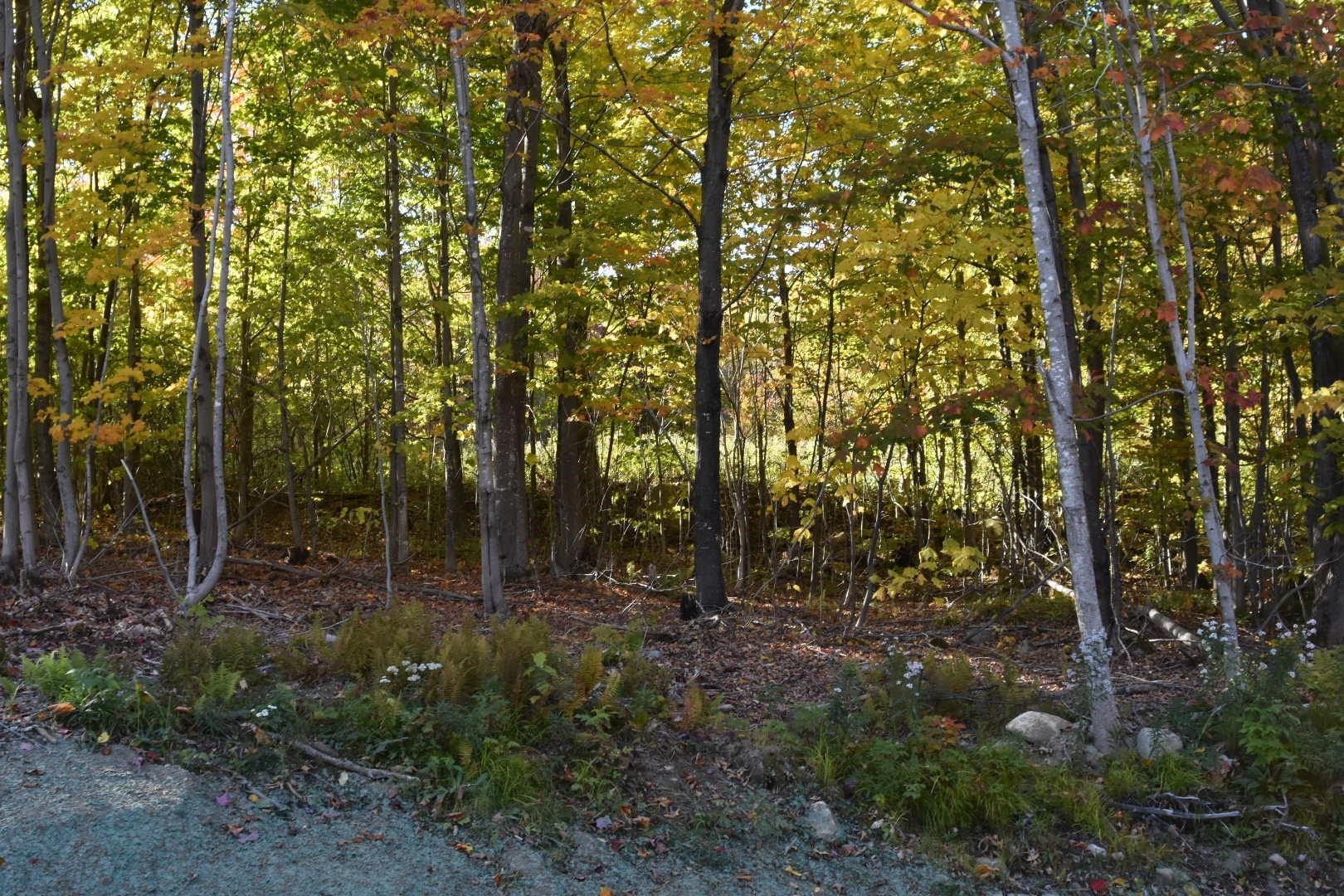 1 Cote Acres Road, Unit 48I Randolph, NH 03593 - Photo 8 of 14