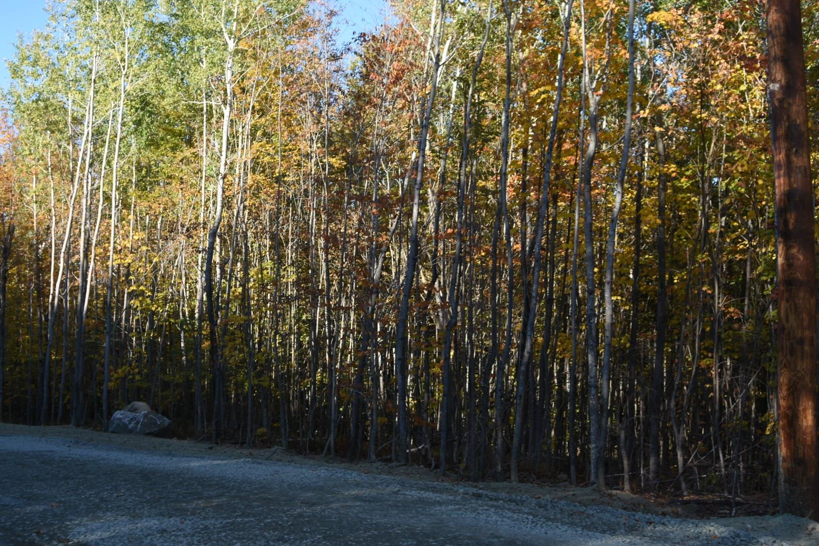 1 Cote Acres Road, Unit 48I Randolph, NH 03593 - Photo 10 of 14