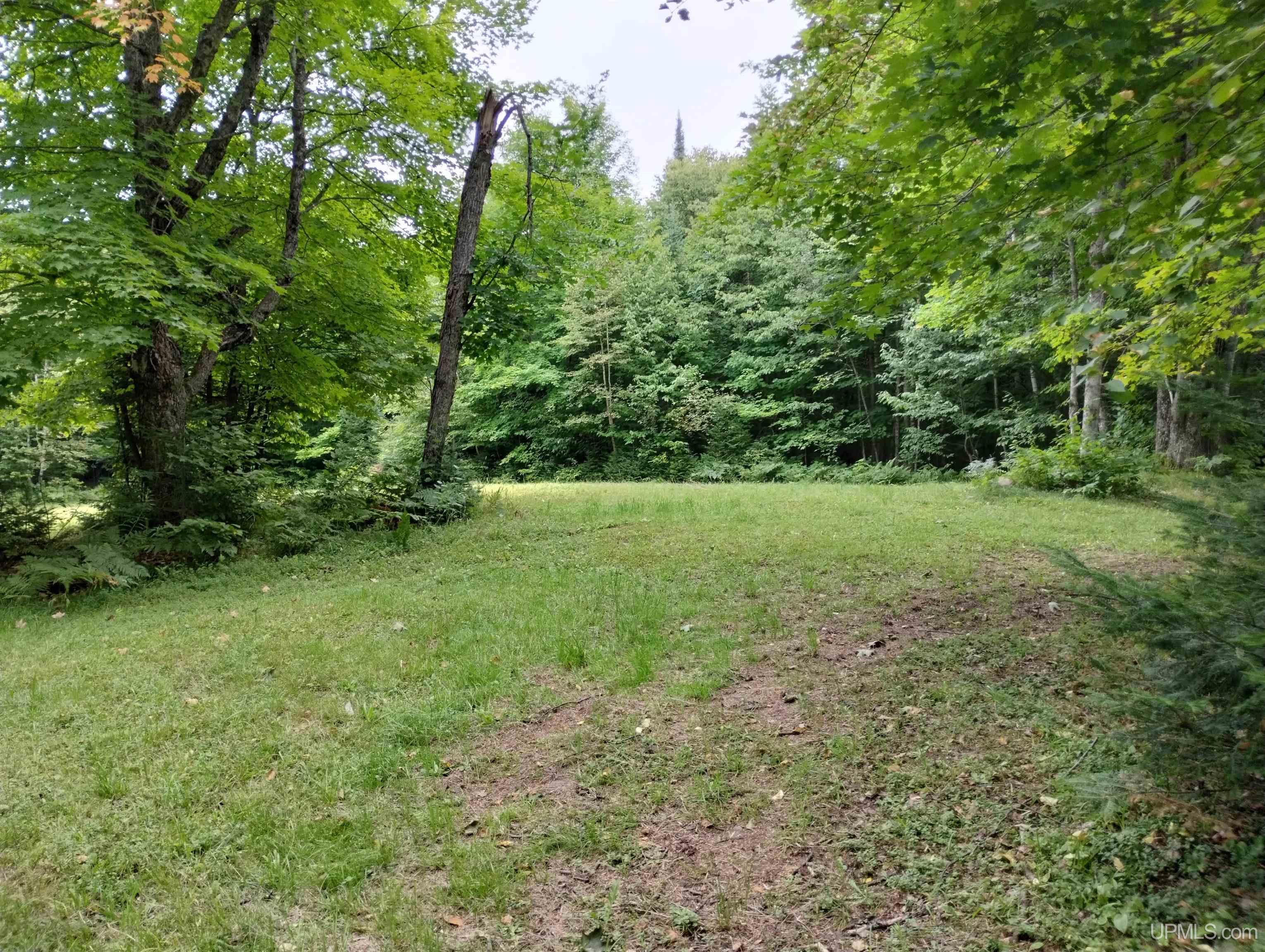 6766 Co Road, Unit ALSO KNOWN AS BLACKHILL S Champion, MI 49814 - Photo 52 of 80