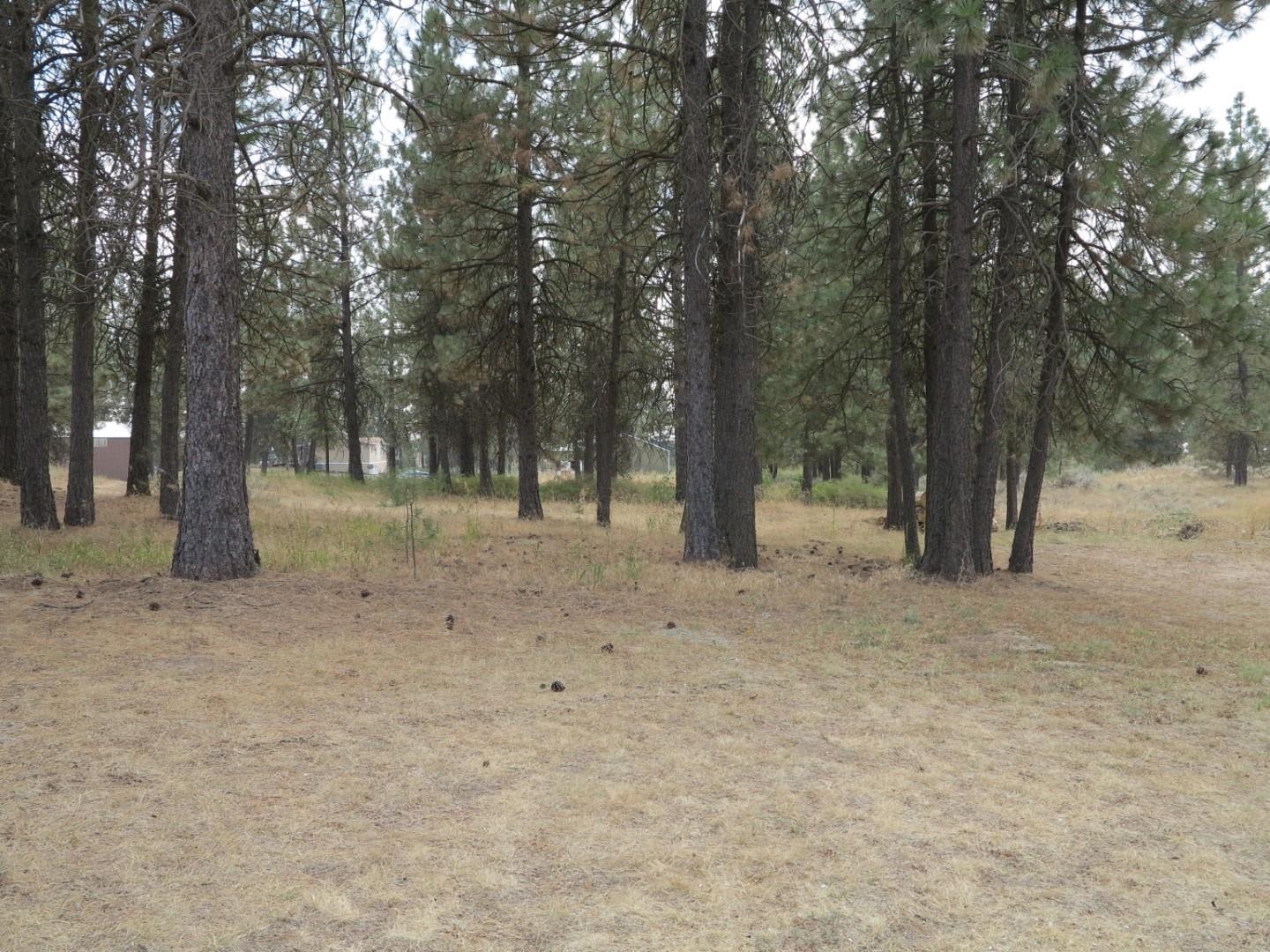 4310 North Brooks Road Medical Lake, WA 99022 - Photo 21 of 22 Gallery Image 21