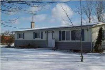 1248 North Johnson Road Trufant, MI 49347 - Photo 1 of 1 Primary Photo