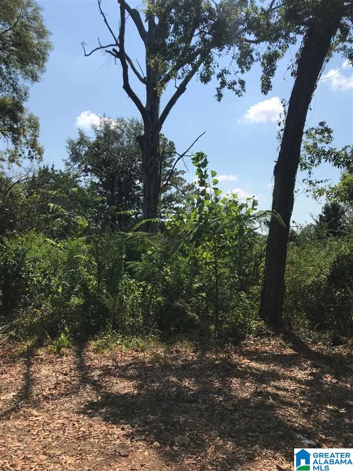 2324 Cahaba Road, Unit 7 Birmingham, AL 35223 - Photo 1 of 1
