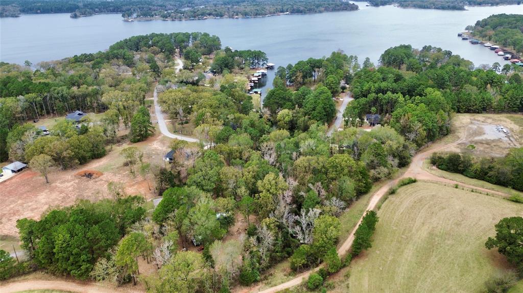 0 Cardinal Lane Troup, TX 75789 - Photo 4 of 15 an aerial view of a house with a yard and plants
