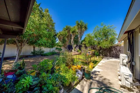 a view of yard
