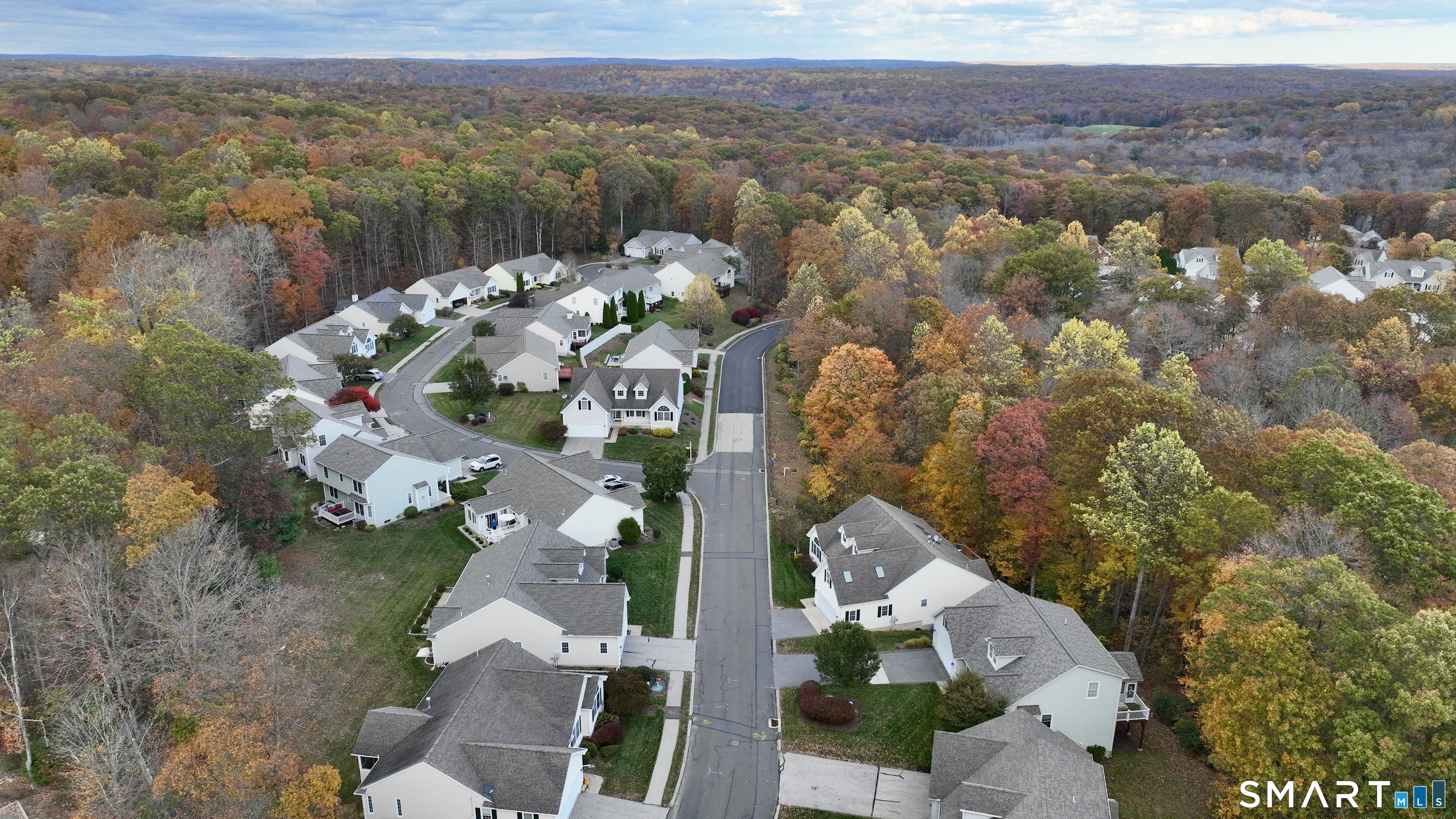 26 Laurel Ridge, Unit 26 East Hampton, CT 06424 - Photo 36 of 40 Gallery Image 36