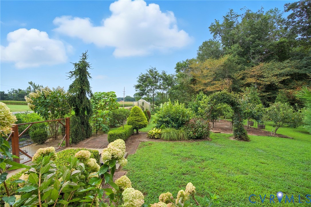 1946 Walmsley Road Callao, VA 22435 - Photo 30 of 49 a backyard of a house with lots of green space