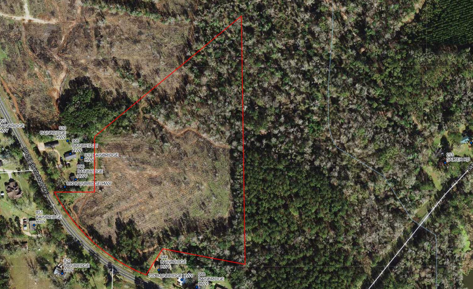 0 Bainbridge Rd Highway Quincy, FL 32352 - Photo 11 of 12 a view of a yard with a tree