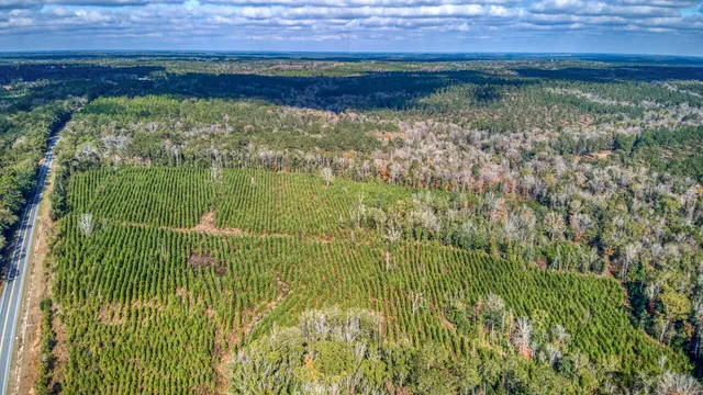 a view of a lake from a yard