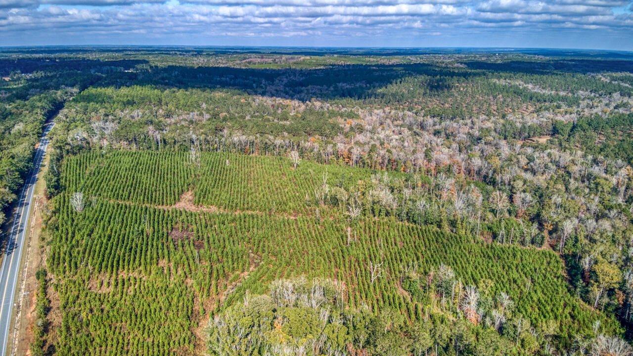0 Bainbridge Rd Highway Quincy, FL 32352 - Photo 2 of 12 a view of a lake from a yard