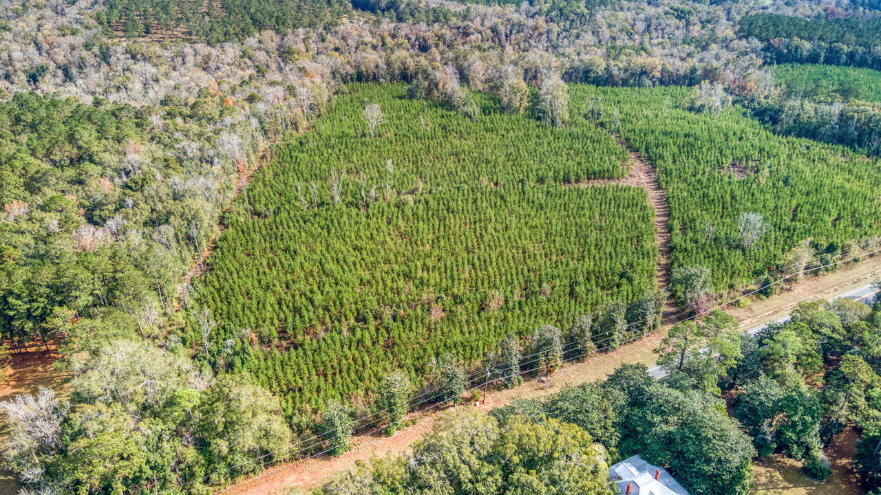 0 Bainbridge Rd Highway Quincy, FL 32352 - Photo 3 of 12 a view of a garden with a building