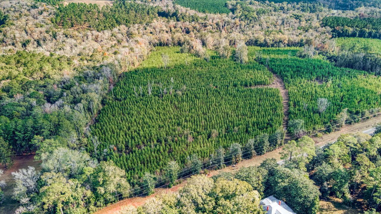 0 Bainbridge Rd Highway Quincy, FL 32352 - Photo 4 of 12 a view of a garden with a building
