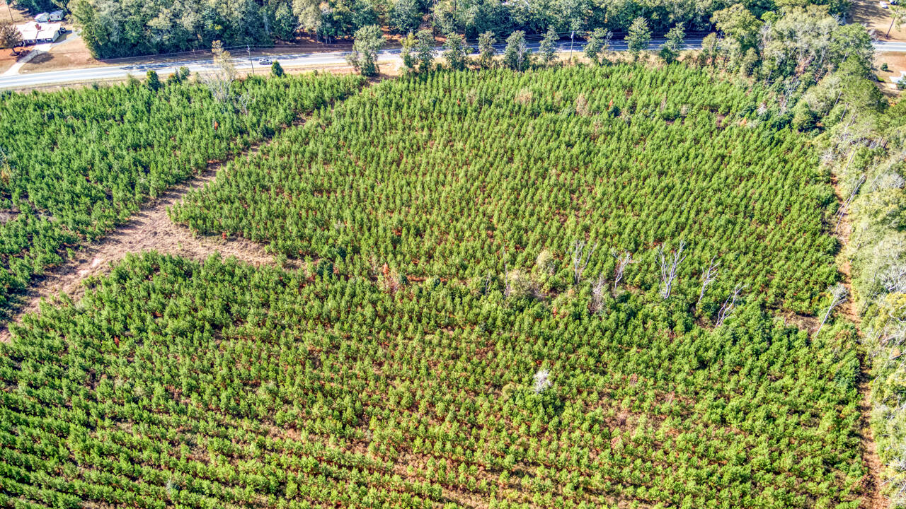 0 Bainbridge Rd Highway Quincy, FL 32352 - Photo 5 of 12 a view of a garden