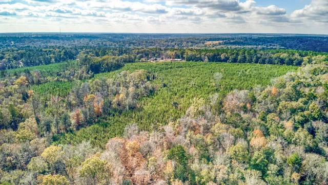 a view of a green field