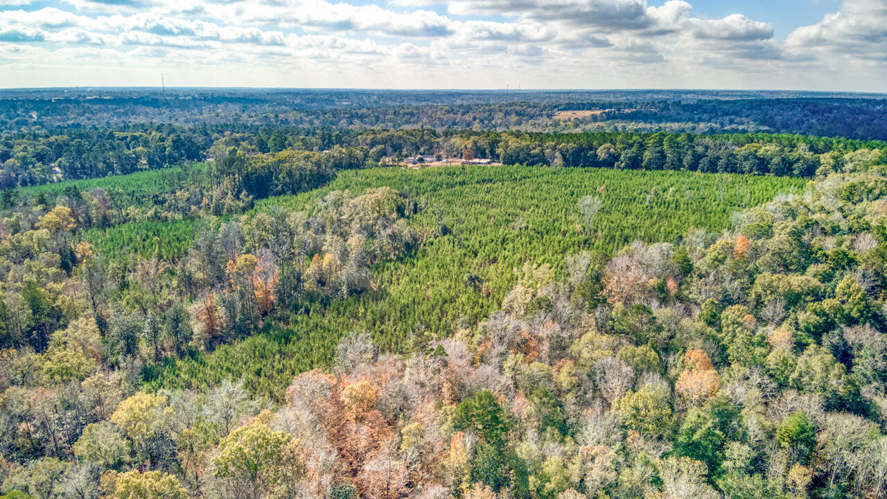 0 Bainbridge Rd Highway Quincy, FL 32352 - Photo 7 of 12 a view of a green field